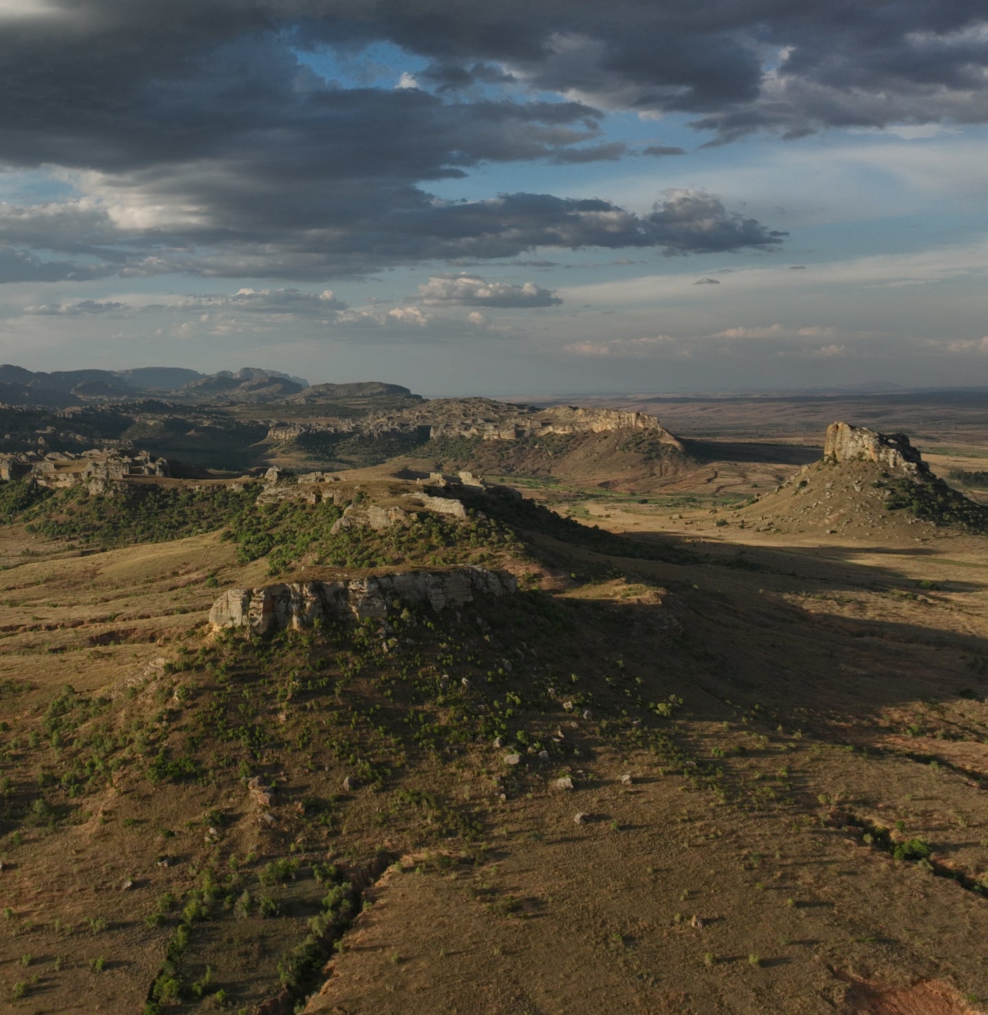 About timeline image