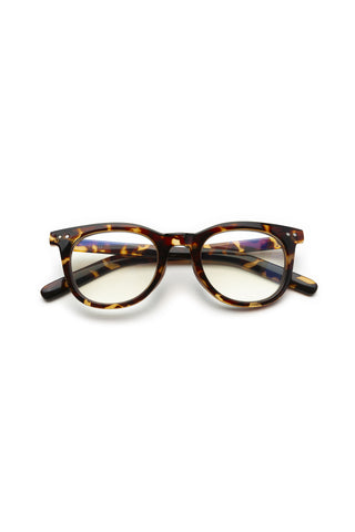 READING GLASSES
