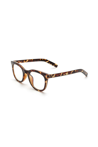 READING GLASSES
