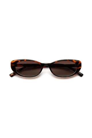CANCUN TORTOISE SUNGLASSES